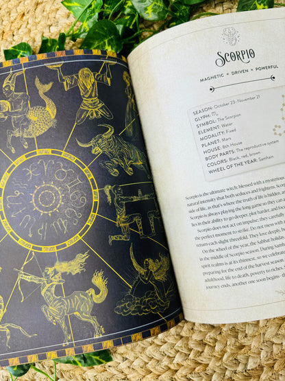 The Witch’s Complete Guide to Astrology