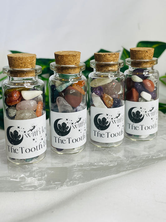 Tooth Fairy Chip Jars