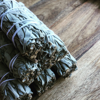 White Sage Medium